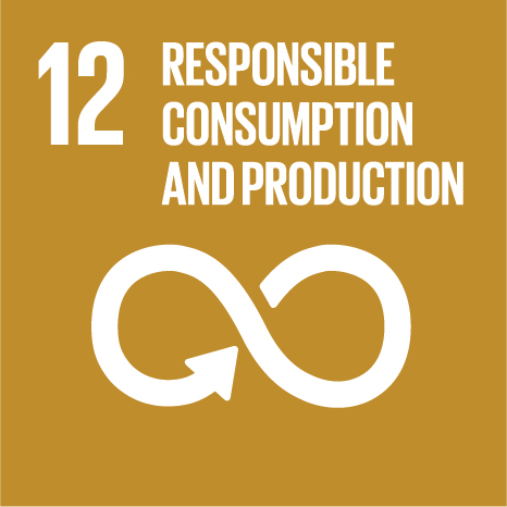 SDG 12 – Responsible Consumption and Production