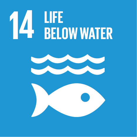 SDG 14 – Life Below Water